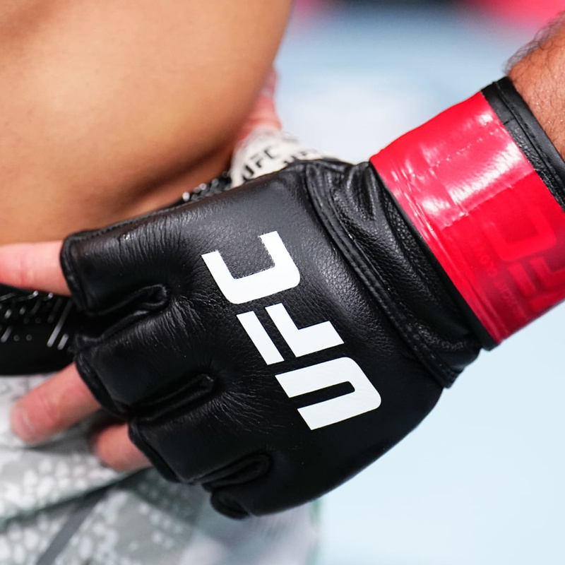 UFC's New Gloves